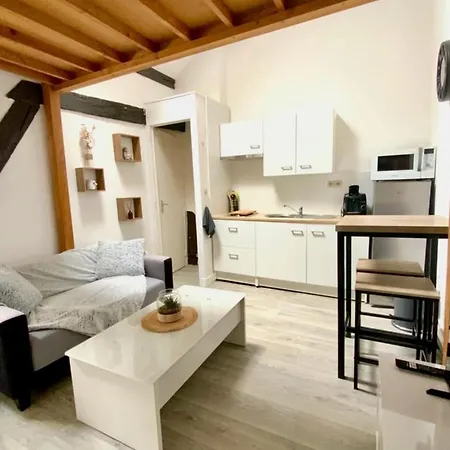 Studio With Mezzanine Apartment *